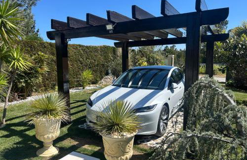 Home S&F- Ponte de Vagos - Foto 6