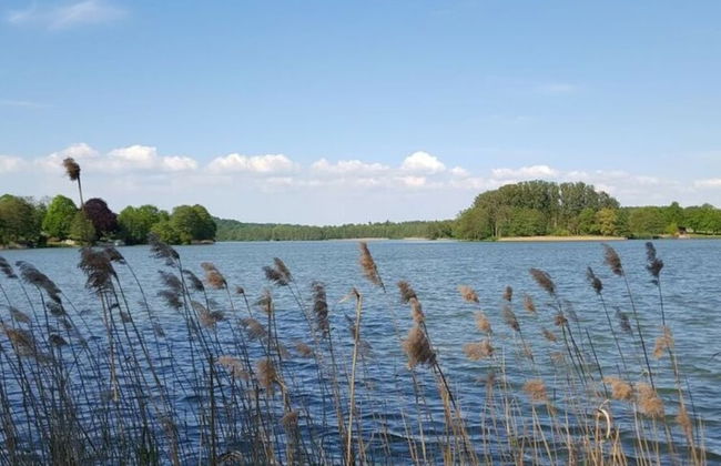 Small House Lake Modern Retreat - Foto 8