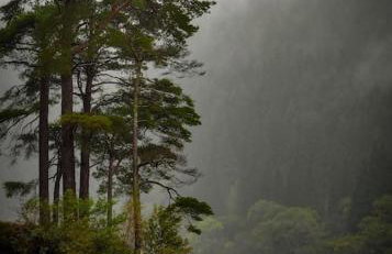 Home in Dunoon Argyll and Bute - Foto 23