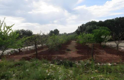 Quinta Magnólia - Foto 5