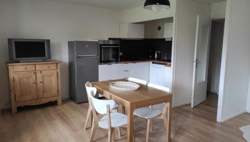 Appartement charmant rénové 47m², 4 pers, proche pistes ski, parking, WiFi - FR-1-737-7 - Photo 2