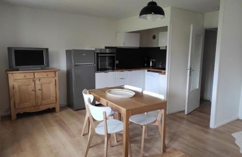 Appartement charmant rénové 47m², 4 pers, proche pistes ski, parking, WiFi - FR-1-737-7 - Foto 2