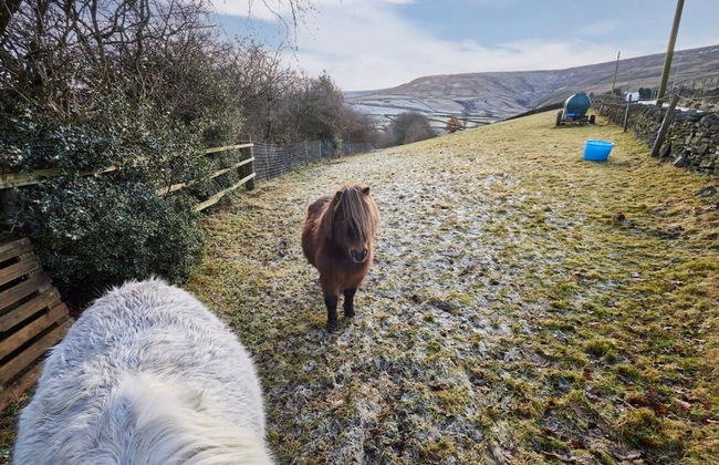 Host Stay P l Lodge - Foto 13