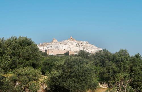 Apartment Sträflingstrullo by Interhome - Foto 21