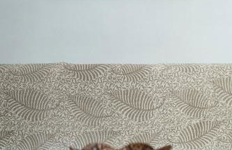 Cozy apartment - Foto 4