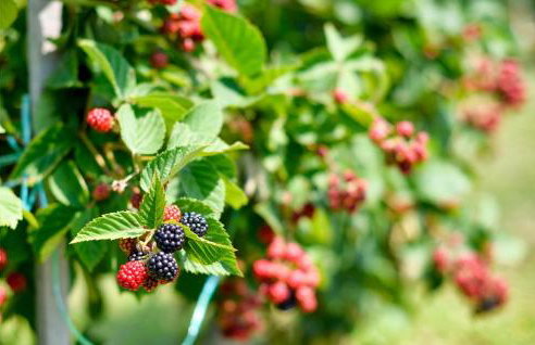 2 Bedroom Stunning Home In Jalzabet - Foto 23