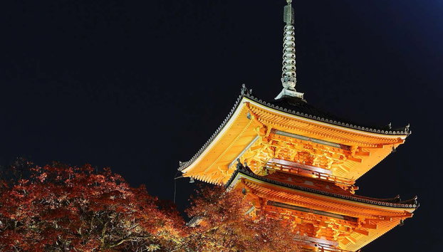 Fushimi Inari Hidden Hiking Tour - Photo 4