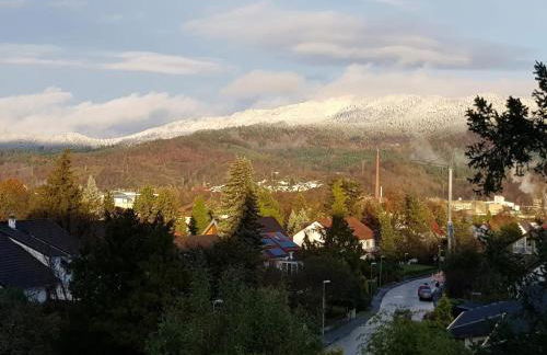 Schusters Murgtalblick - Foto 23