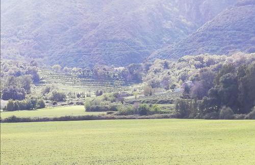 Agapanthe location - Foto 31