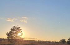 Cozy Home in der Heide, zentral und ruhig - Foto 52