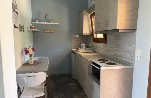 Loukia's Studios and Apartments - Foto 13