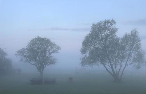 Ferienresidenz am Salzhaff - Foto 68