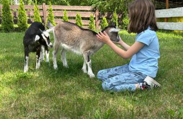Pod Kogutem i Sową - Bio Wioska z domkami Premium w góralskim stylu VIP - Foto 58
