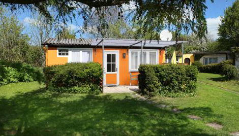 Bärenklau - Foto 4, Garden