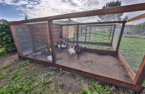 Cabañas de Mallas - Foto 35