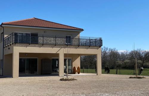 Appartement avec terrasse, proche des 1000 étangs, chapelle Le Corbusier - Foto 28