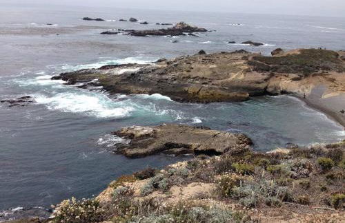 Large Monterey Bay House close to Aquarium, Golf - Foto 22