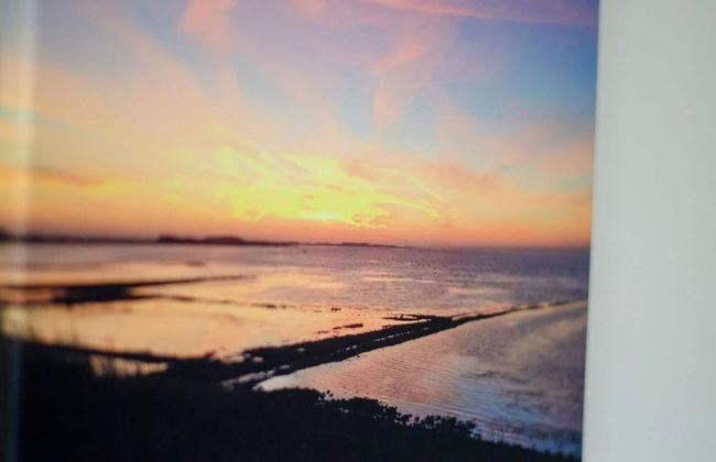 Lovely Holiday Home in Kattendijke Near Centre - Foto 74