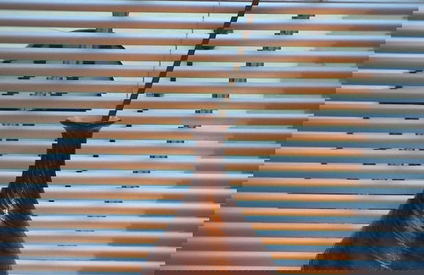 The Abberley - Foto 5