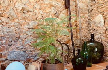 Quinta Tilia - Farmhouse - Foto 27