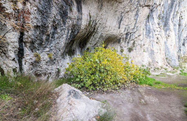 Belvilla by OYO Casa Ca Rio - Foto 34