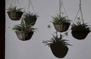 Luxury accomodation off grid - Foto 9