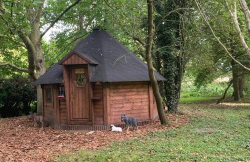 Starry Meadow & Rescued Animal Experiences - Foto 40