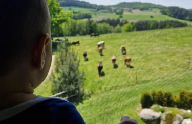 Gemütliche Chalets & Ferienhäuser mit Kamin und Sauna im bayrischen Wald - Foto 17