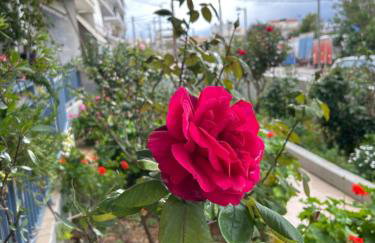 Elva Creta - Foto 40