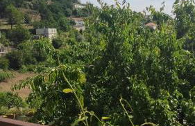 Casa Na Montanha Da Neve - Foto 74