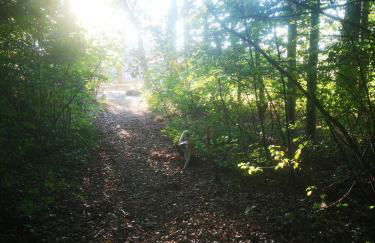 Gästehaus Maria Rast - Foto 55
