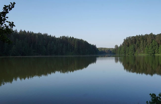 Metai Miške&a Year in the Forest - Photo 30