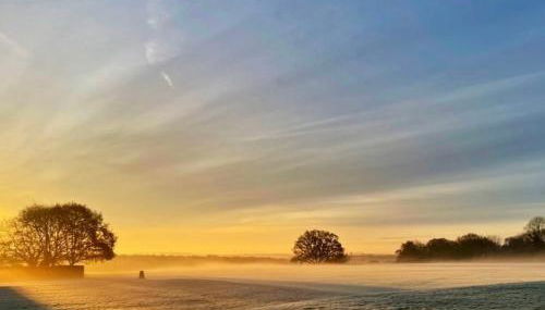 Linden Suite - Foto 5