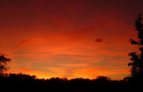 Old French Country Cottage for 2 nature lovers paradise - Foto 23