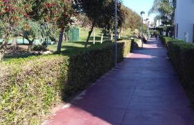 Apartamentos Laguna Beach - Photo 13