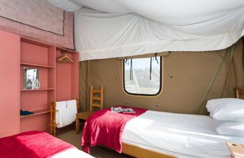 Snipe - Bleasdale - Foto 16