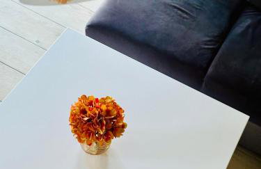 Dom nad jeziorem Miedwie, Zieleniewo - Foto 23