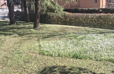 Violetta Apartment - Foto 18
