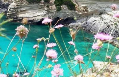 Villaelena - Foto 45