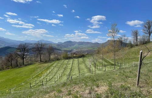 Casa Tincana - Foto 32