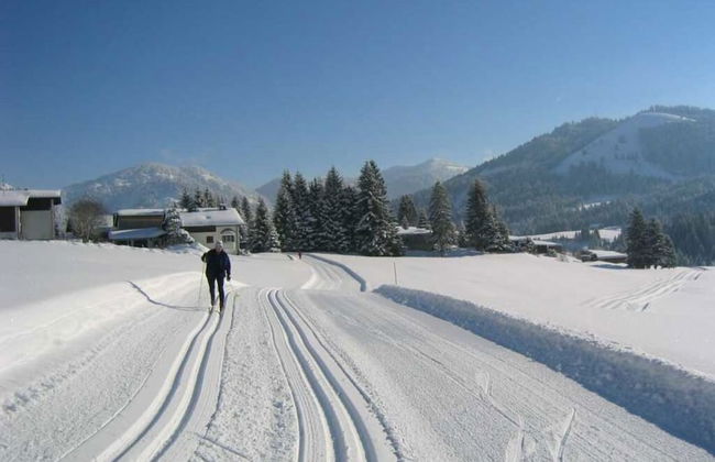 Alpenrosle Comfortable Holiday Residence - Photo 13