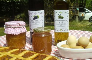 Casa Renacci - Foto 11