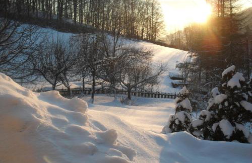Studio Gościnne ANTEK - Foto 27