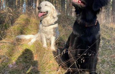 Sercem i Kopytem - Foto 14