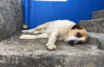 Monte de Stª Margarida - Foto 33