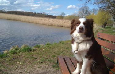 Ferienhaus Seestern - Foto 25