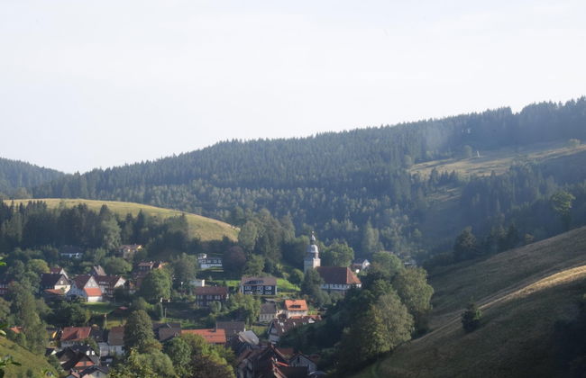 Charming Attic Hideaway, Harz - Foto 40