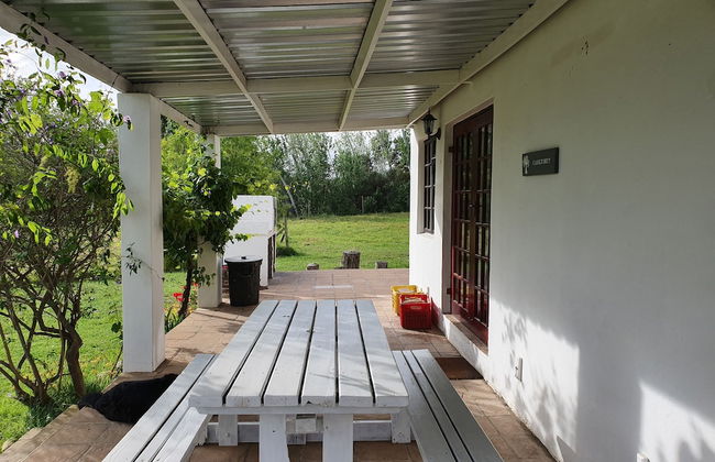 Fraaigelegen Farm - Photo 15