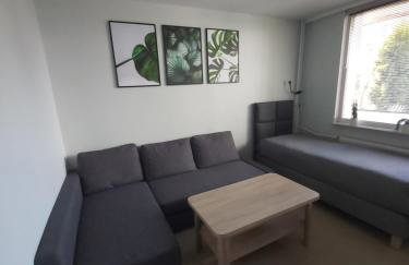 Apartament z ogrodem Tychy - Foto 1