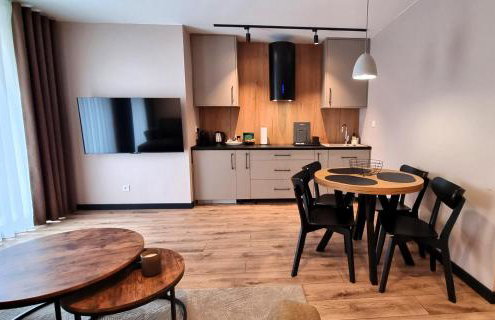 Apartamenty przy Tężni - Foto 46